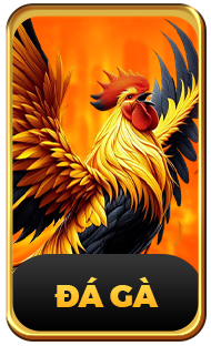 Đá Gà 789F