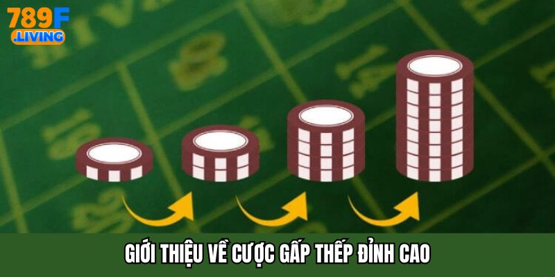 Giới thiệu về cược gấp thếp đỉnh cao